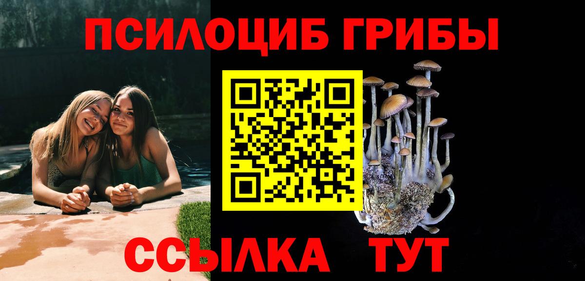 Боровичи  купить наркотики сайты  Вход с VPN  Псилоцибиновые грибы мицелий 